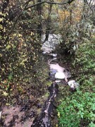 Otrava potoka Inovec s vtokom do Bebravy- November 2020