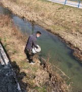 Dolovenie potoka Machnáč 2021 a nasádzanie Pp 1r. do Bebravy