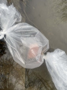 Násada ikier PP krúžok 2026