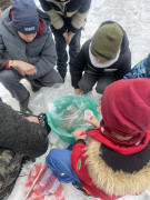 Násada ikier PP krúžok 2026